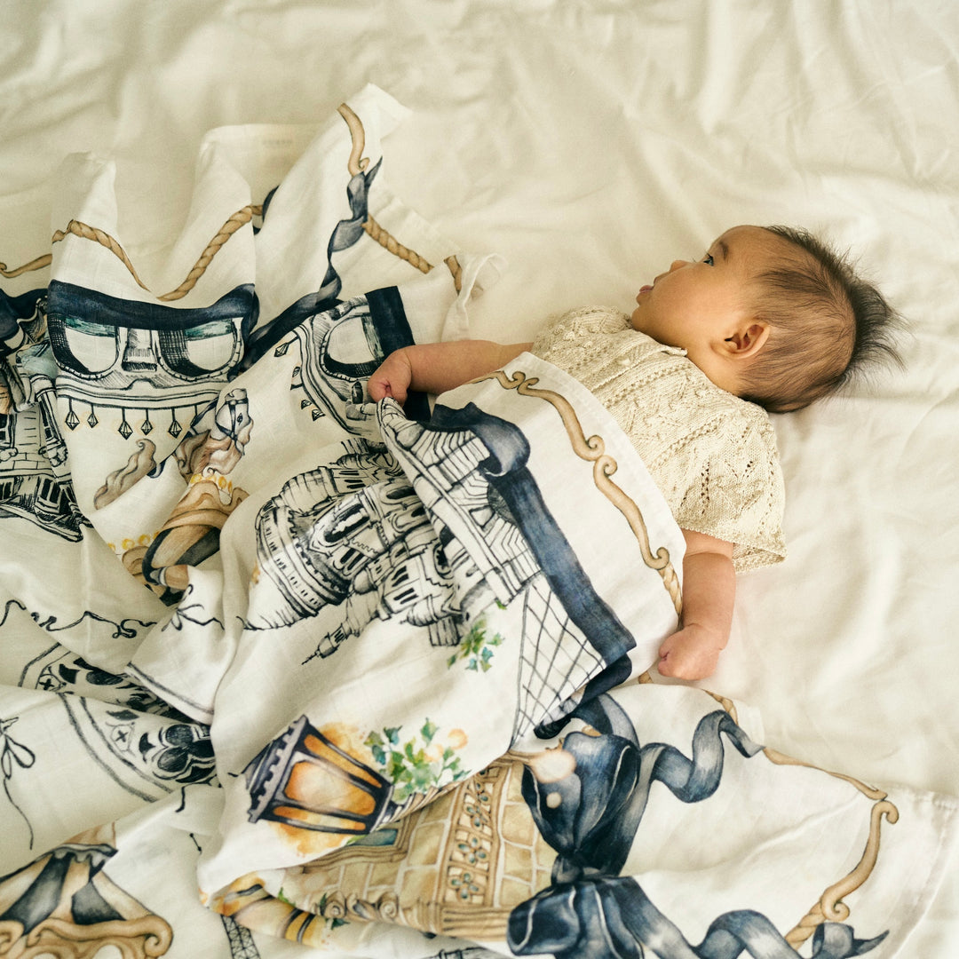 Somewhere in Paris Swaddle