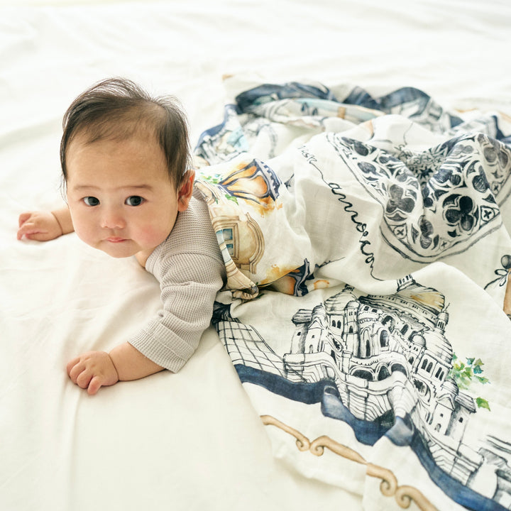 Somewhere in Paris Swaddle