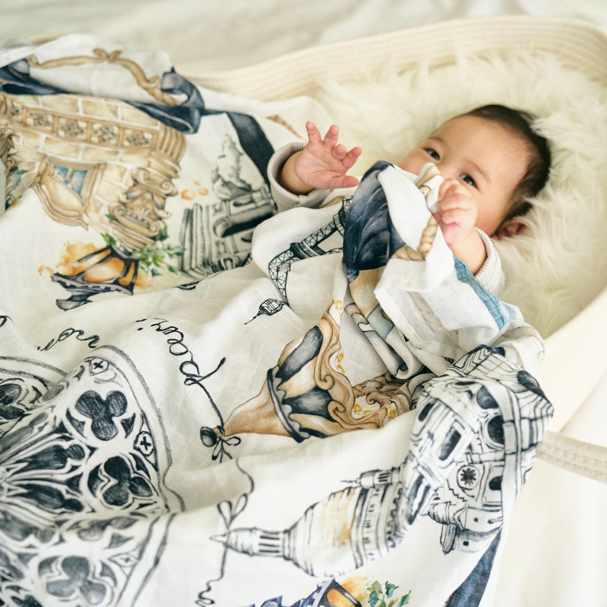 Somewhere in Paris Swaddle