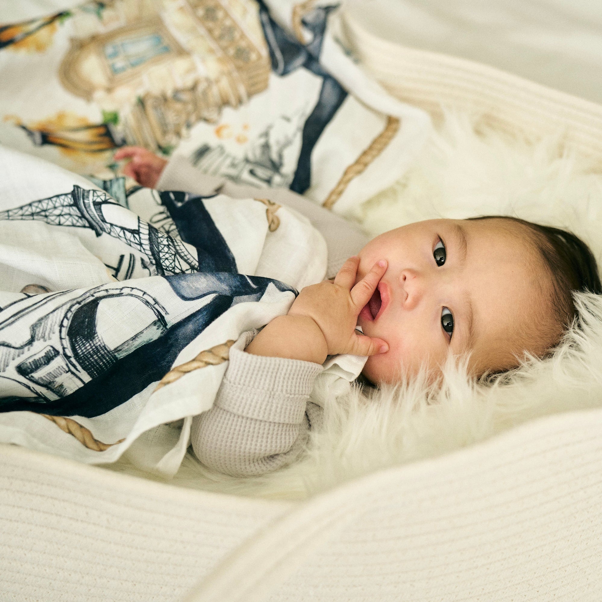 Somewhere in Paris Swaddle