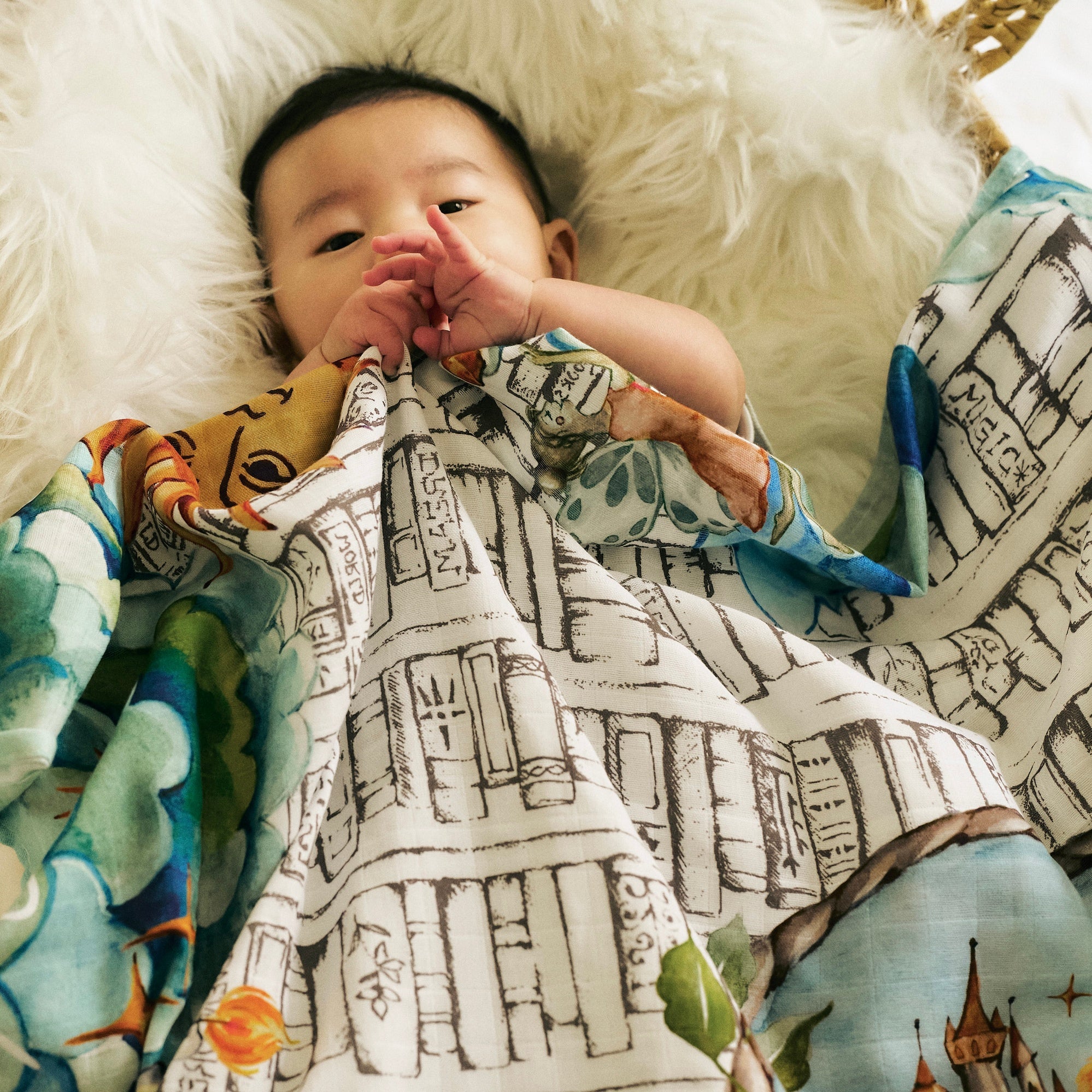 Somewhere in Paris Swaddle