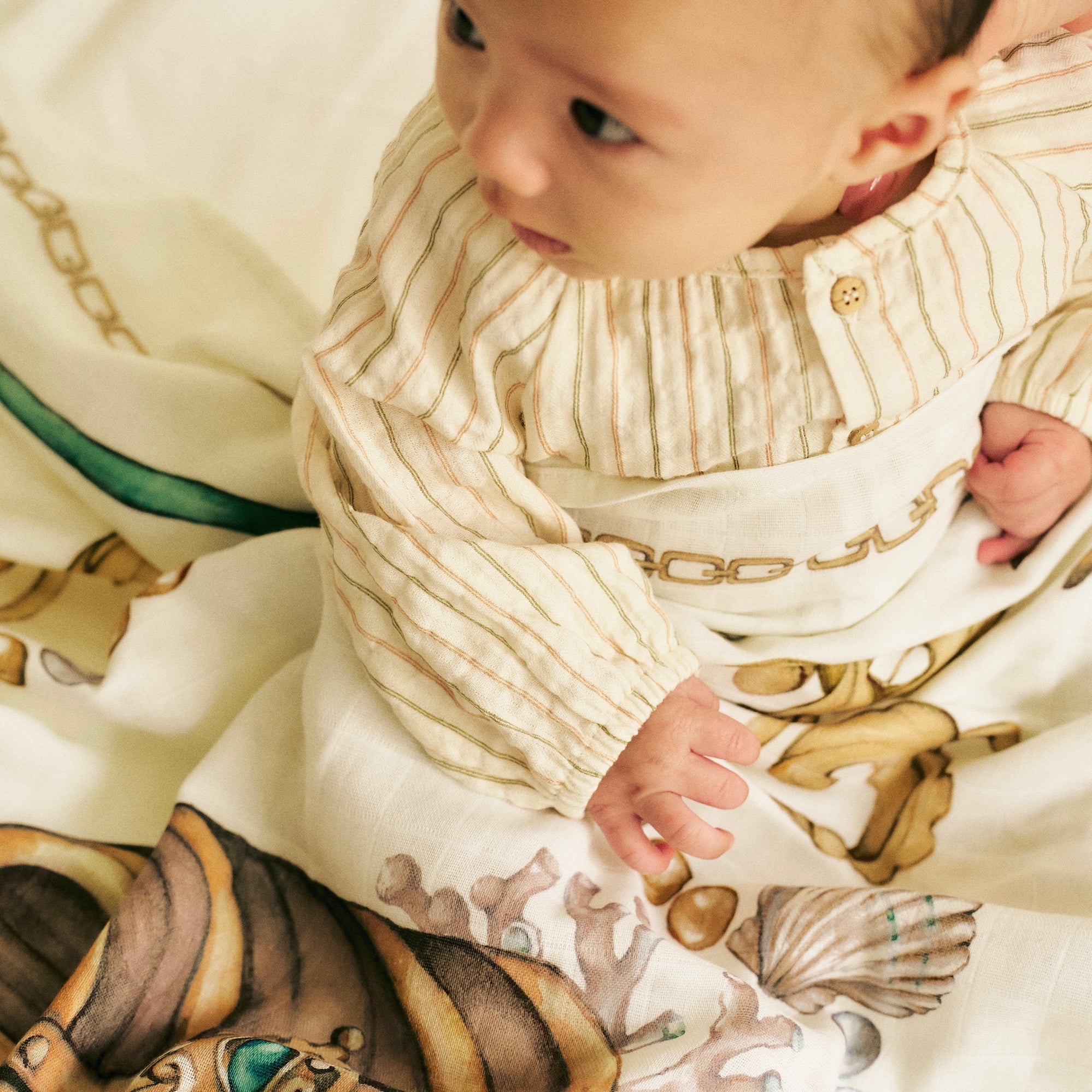 Hidden Treasure Swaddle