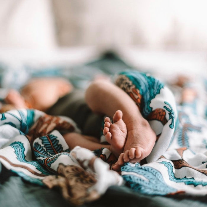 Wattle and Gum Swaddle